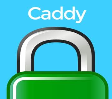 image from Using caddy go web server in your project